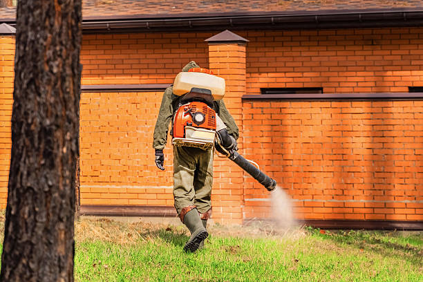 Trusted Emergency Pest Control service in Northern Cambria, PA - Nex Pest Control